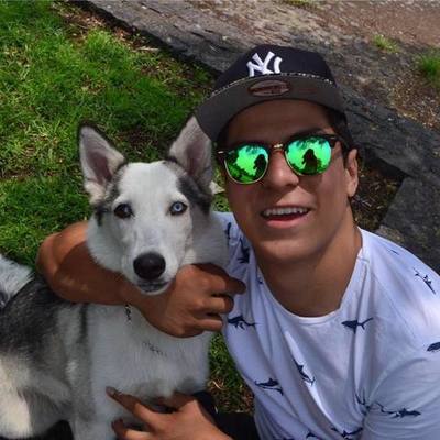 Timeline: Jhovany Haro