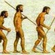 Evolucion humana