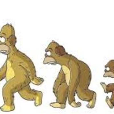 Timeline: Evolución, Teorías