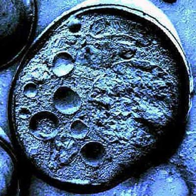 Timeline: LA CEL·LULA