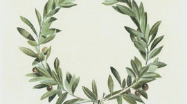 Timeline: ΕΛΛΗΝΙΔΕΣ ΚΑΛΛΙΠΑΤΕΙΡΕΣ