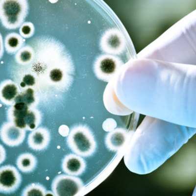 Timeline: Desarrolo Historico de la Microbiologia (POR MIGUEL BEJARANO 901)