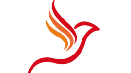 Timeline: HISTORIA DE LAS CINCO CALANDRIAS