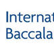 Ib logo