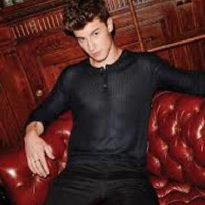 Timeline: shawn mendes