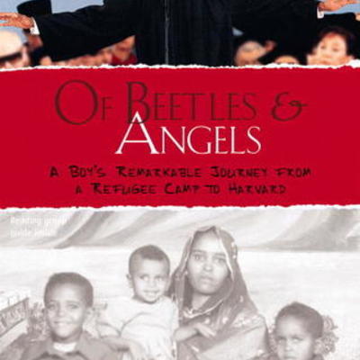 Timeline: OF BEETLES & ANGELS