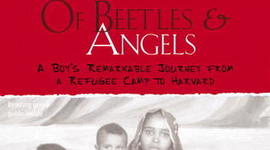 Timeline: OF BEETLES & ANGELS