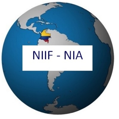 Timeline: AVANCES DE LA IMPLEMENTACIÓN  DE LAS NORMAS EN COLOMBIA