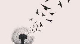 Timeline: EL VIAJE MAS LARGO DE MI VIDA