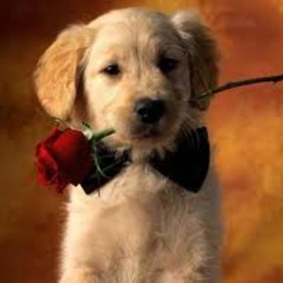 Timeline: Праздники