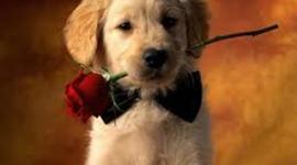 Timeline: Праздники