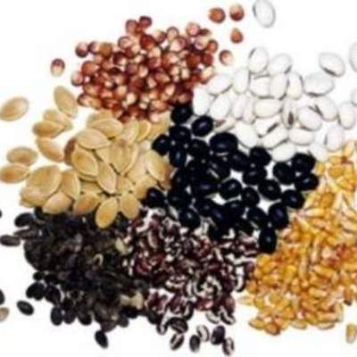 Timeline: праздники