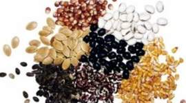 Timeline: праздники