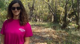 Timeline: Η δική μου πορεία