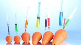 Timeline: Evolution des OGM aux EU