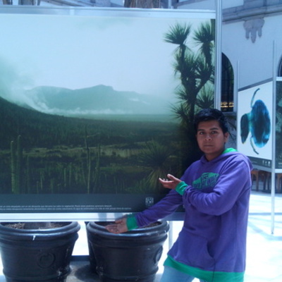 Timeline: visita a varios lugares