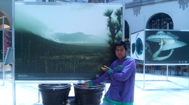 Timeline: visita a varios lugares