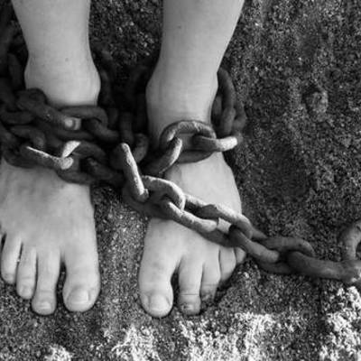 Timeline: trata de personas 2016