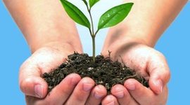 Timeline: Medio ambiente