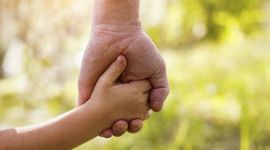 Timeline: Adopción en Chile