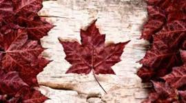 Timeline: Veronica_SS10 Activity_Timeline of Important Canadian Events