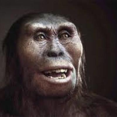 Timeline: La prehistoria