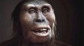 Timeline: La prehistoria