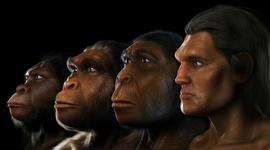 Timeline: La Prehistoria