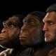 Did australopithecus live 7bff0d2cd3465e82