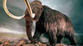 Timeline: La Prehistoria