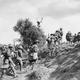 Wwi