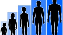 Timeline: Unit 7 Application