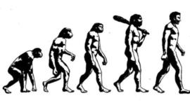 Timeline: Teorias de la Evolución