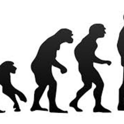 Timeline: Teorías de la evolución