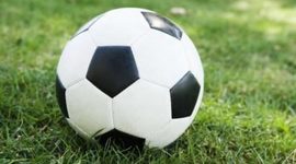 Timeline: LMS3-Isabella Peregrine-Timeline