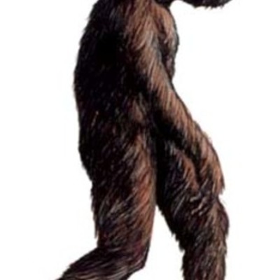 Timeline: Hombre prehistorico