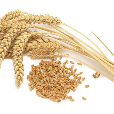 Timeline: Cereales en verde