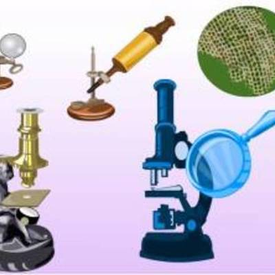 Timeline: Teoría Celular