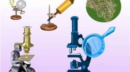 Timeline: Teoría Celular