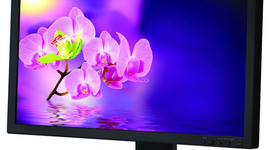 Timeline: the output device