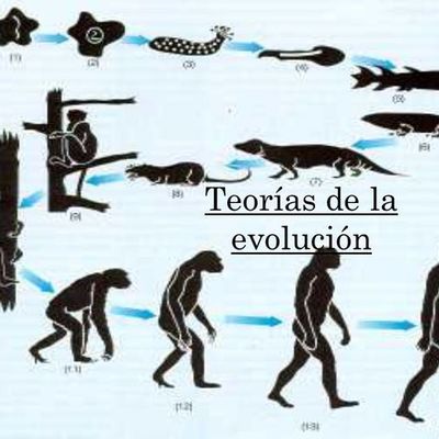 Timeline: Teorías de la evolución