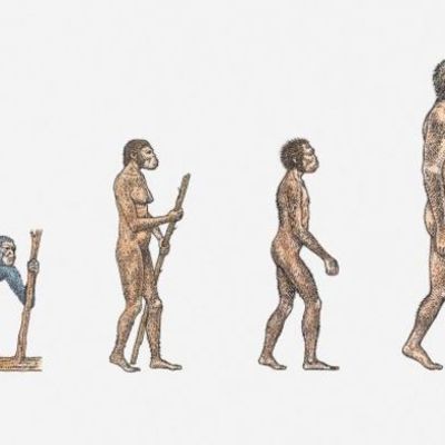 Timeline: TEORÍAS DE LA EVOLUCIÓN