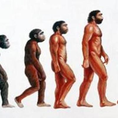 Timeline: TEORÍAS DE LA EVOLUCIÓN