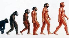 Timeline: TEORÍAS DE LA EVOLUCIÓN