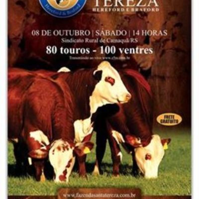 Timeline: Leilões Z5TV