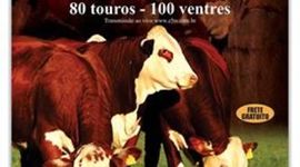 Timeline: Leilões Z5TV