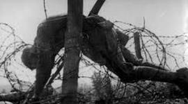 Timeline: WW1 events/Veteran Experiences