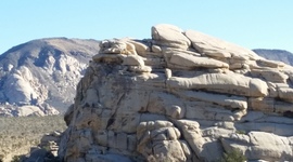 Timeline: Brody Beebe