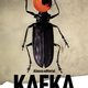 Kafka