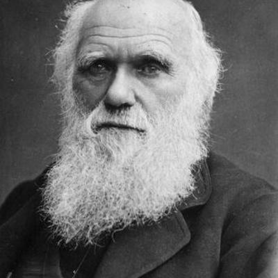 Timeline: Charles Robert Darwin